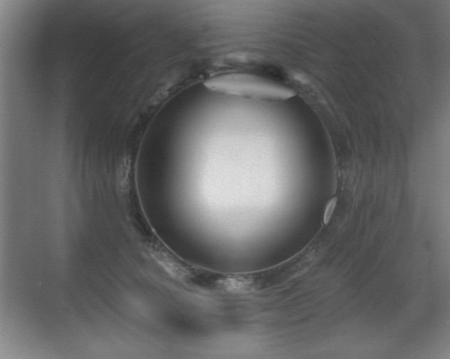 X0000071340660200606231139