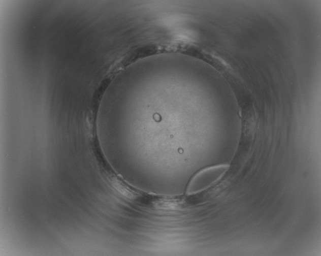 X0000071340661200606231139