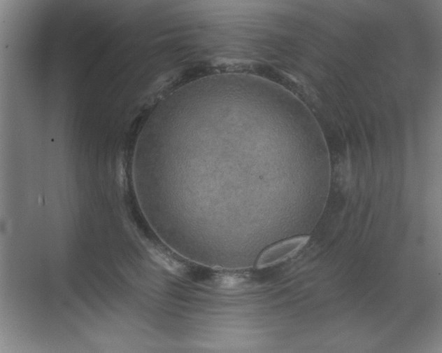 X0000071340662200606231139