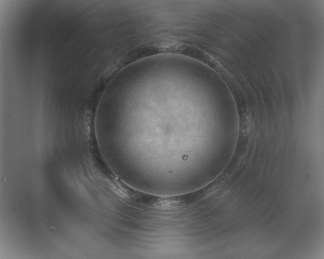 X0000071340664200606231139