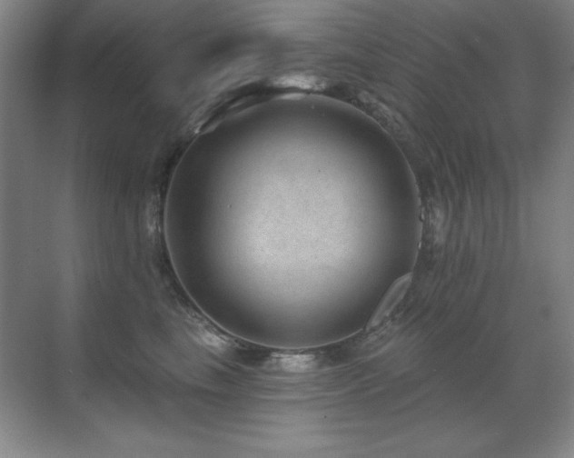 X0000071340665200606231139