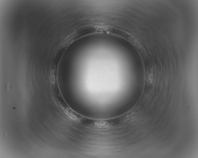 X0000071340666200606231139