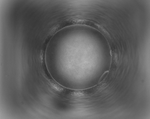 X0000071340668200606231140