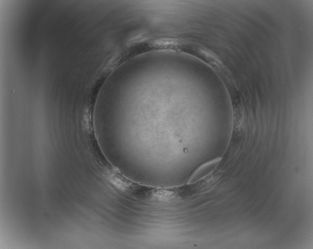 X0000071340669200606231140