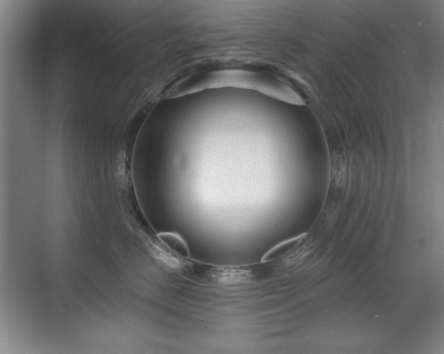 X0000071340670200606231140