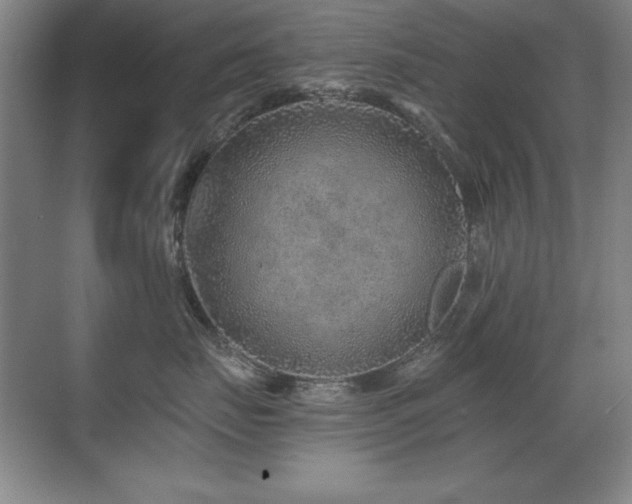 X0000071340671200606231140