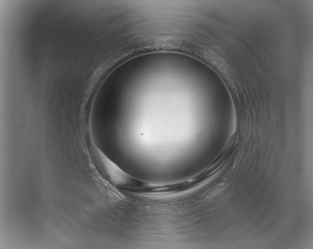 X0000071340673200606231139