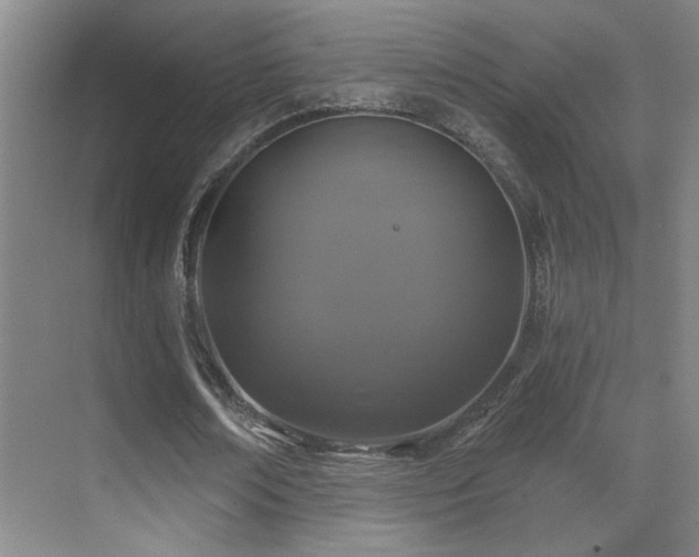 X0000071340674200606231139