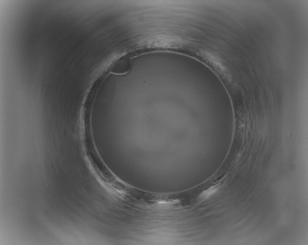 X0000071340678200606231139