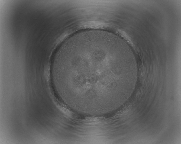 X0000071340679200606231139