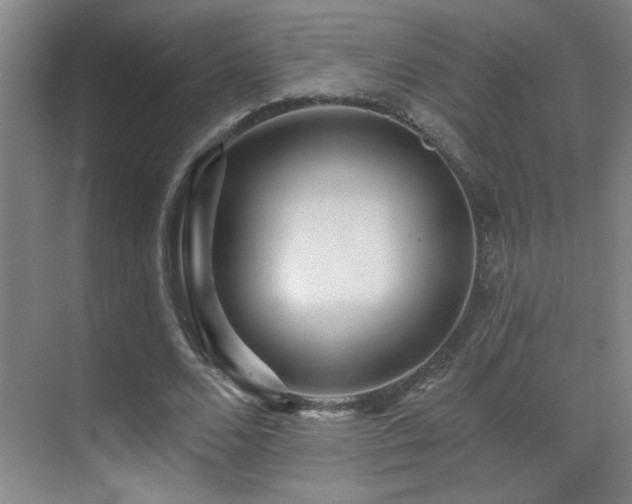 X0000071340680200606231139