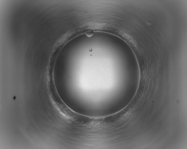 X0000071340682200606231139