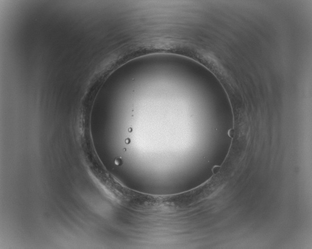 X0000071340683200606231139