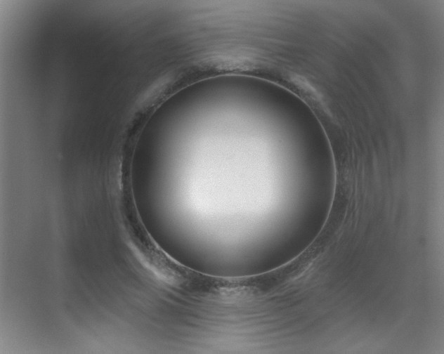 X0000071340686200606231139