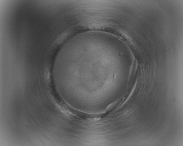 X0000071340687200606231139