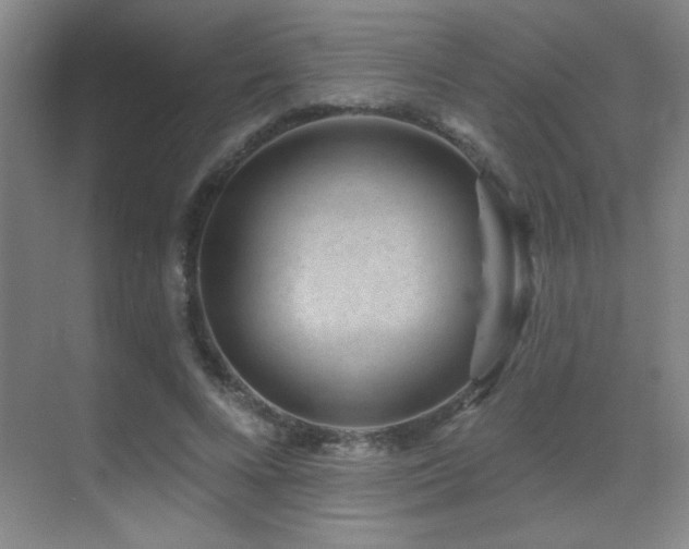 X0000071340688200606231139