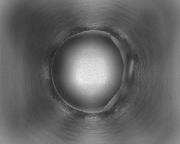 X0000071340689200606231138