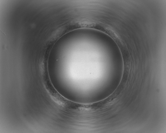 X0000071340690200606231138