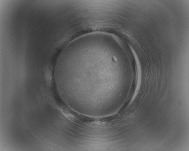 X0000071340691200606231138