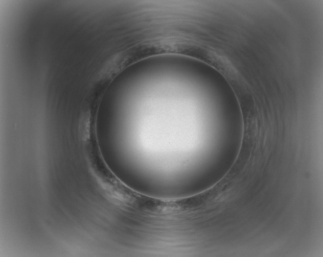 X0000071340694200606231138