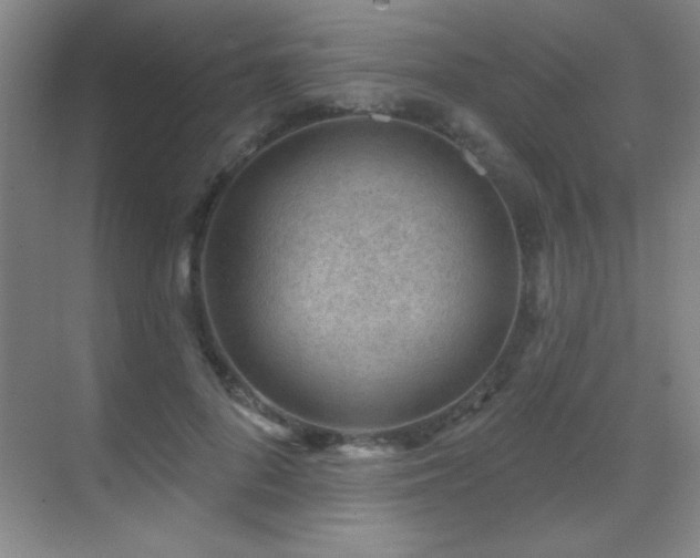 X0000071340696200606231138