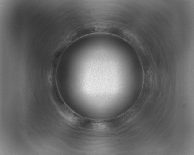 X0000071340698200606231138