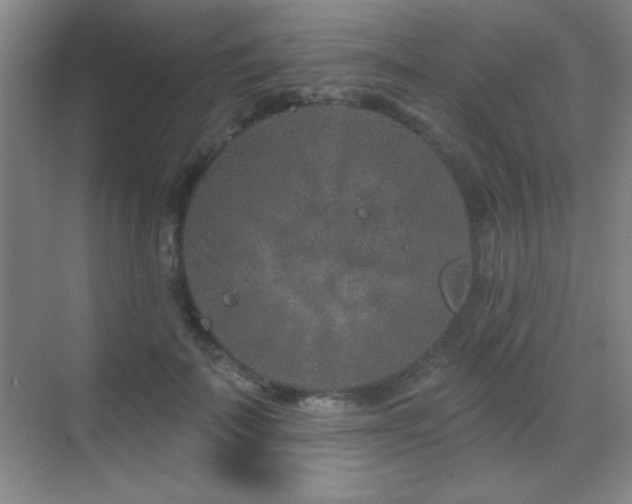 X0000071340699200606231138