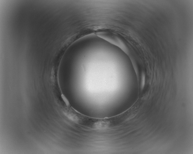 X0000071340700200606231138