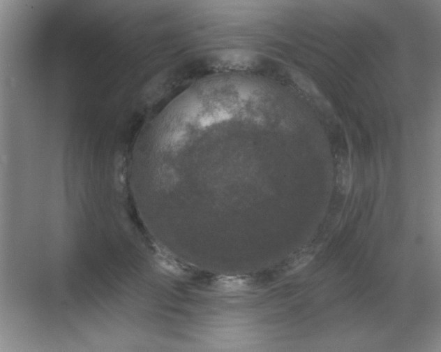 X0000071340701200606231138