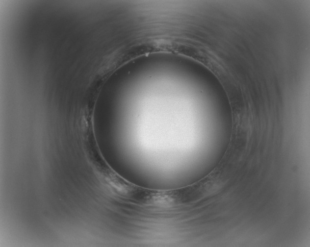 X0000071340702200606231138