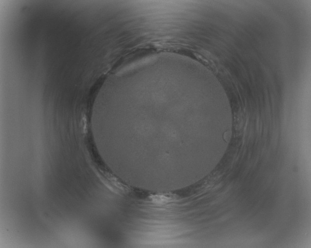 X0000071340703200606231138