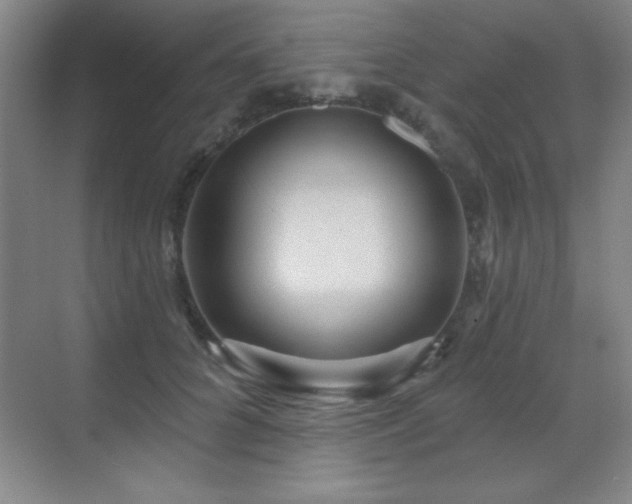 X0000071340704200606231138