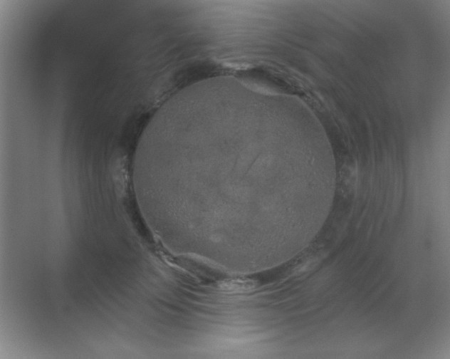 X0000071340707200606231138