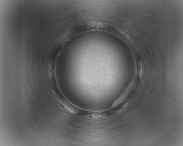 X0000071340708200606231138