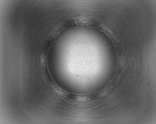 X0000071340709200606231138