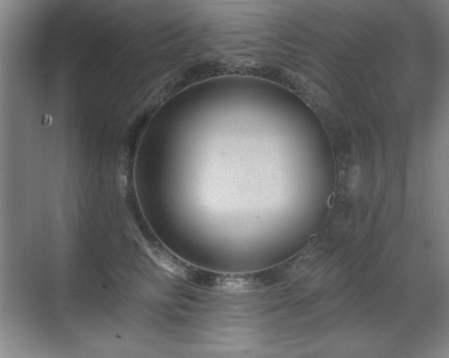 X0000071340710200606231138