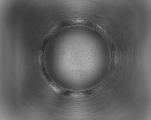 X0000071340712200606231138