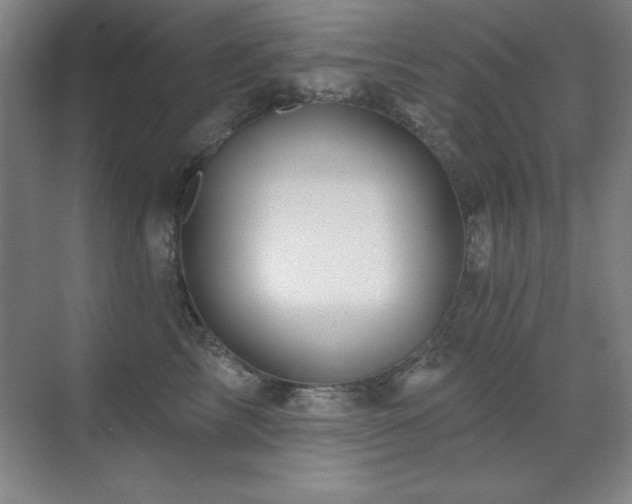 X0000071340713200606231138