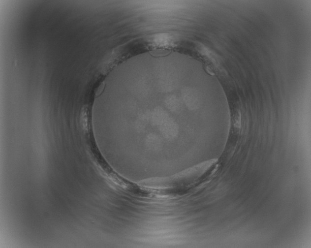 X0000071340715200606231138