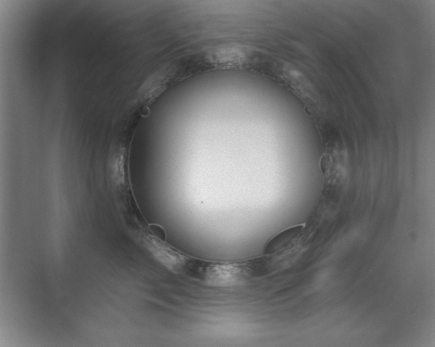 X0000071340717200606231138