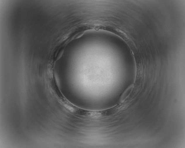 X0000071340719200606231138