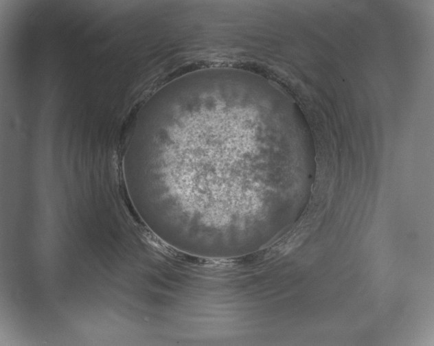 X0000071340720200606231138