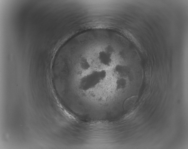 X0000071340721200606231137