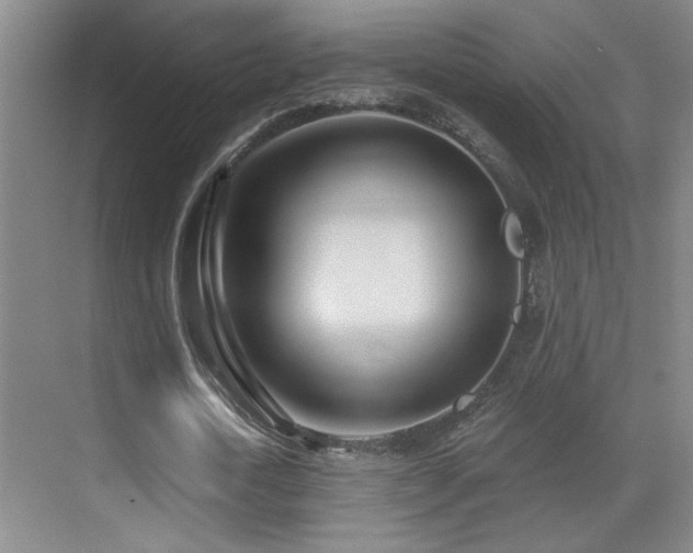 X0000071340722200606231137