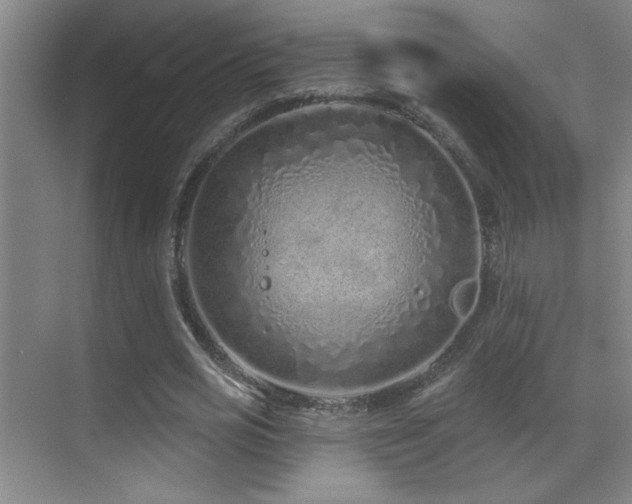 X0000071340725200606231137