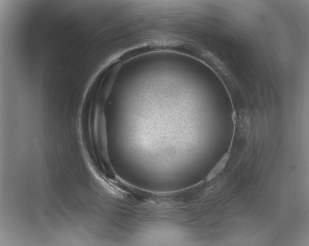 X0000071340726200606231137