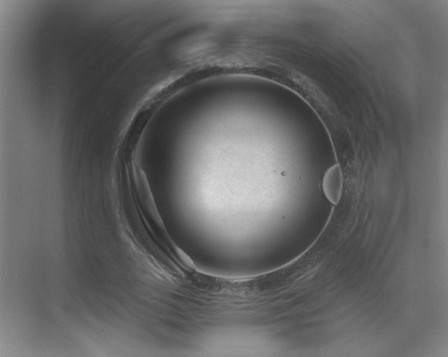 X0000071340727200606231137