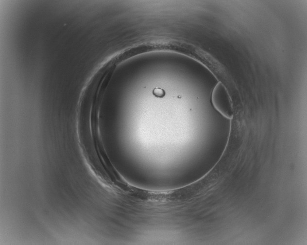 X0000071340728200606231137