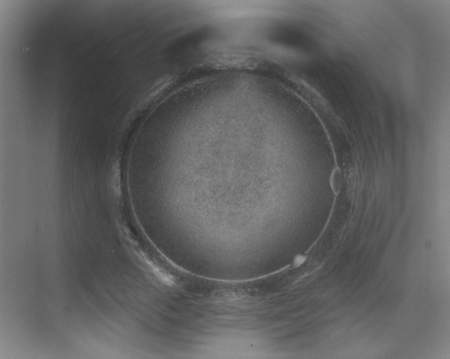 X0000071340729200606231137