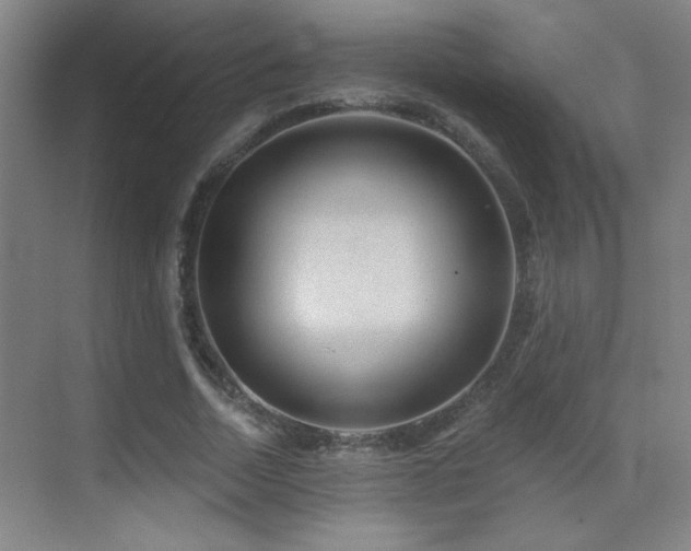 X0000071340730200606231137